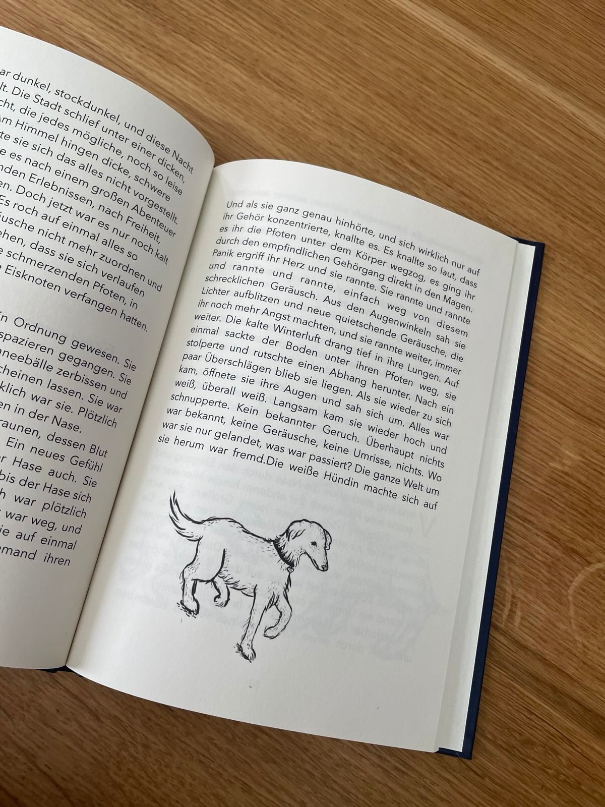 Zwei Hunde ein (weihnachts-)Abenteuer