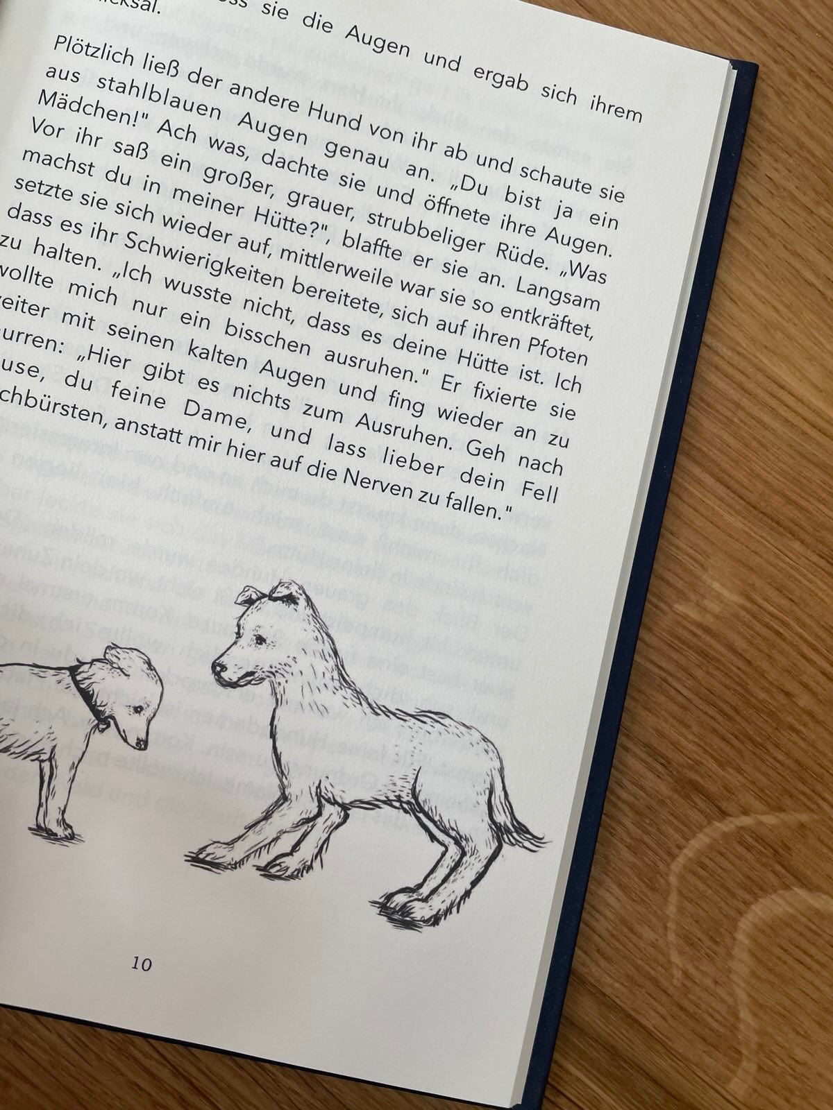Zwei Hunde ein (weihnachts-)Abenteuer