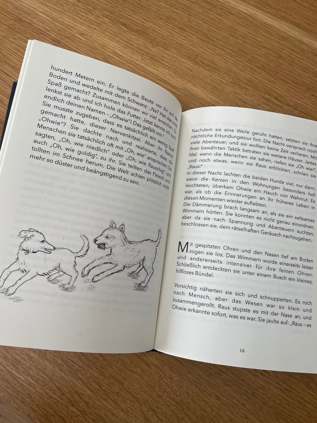 Zwei Hunde ein (weihnachts-)Abenteuer
