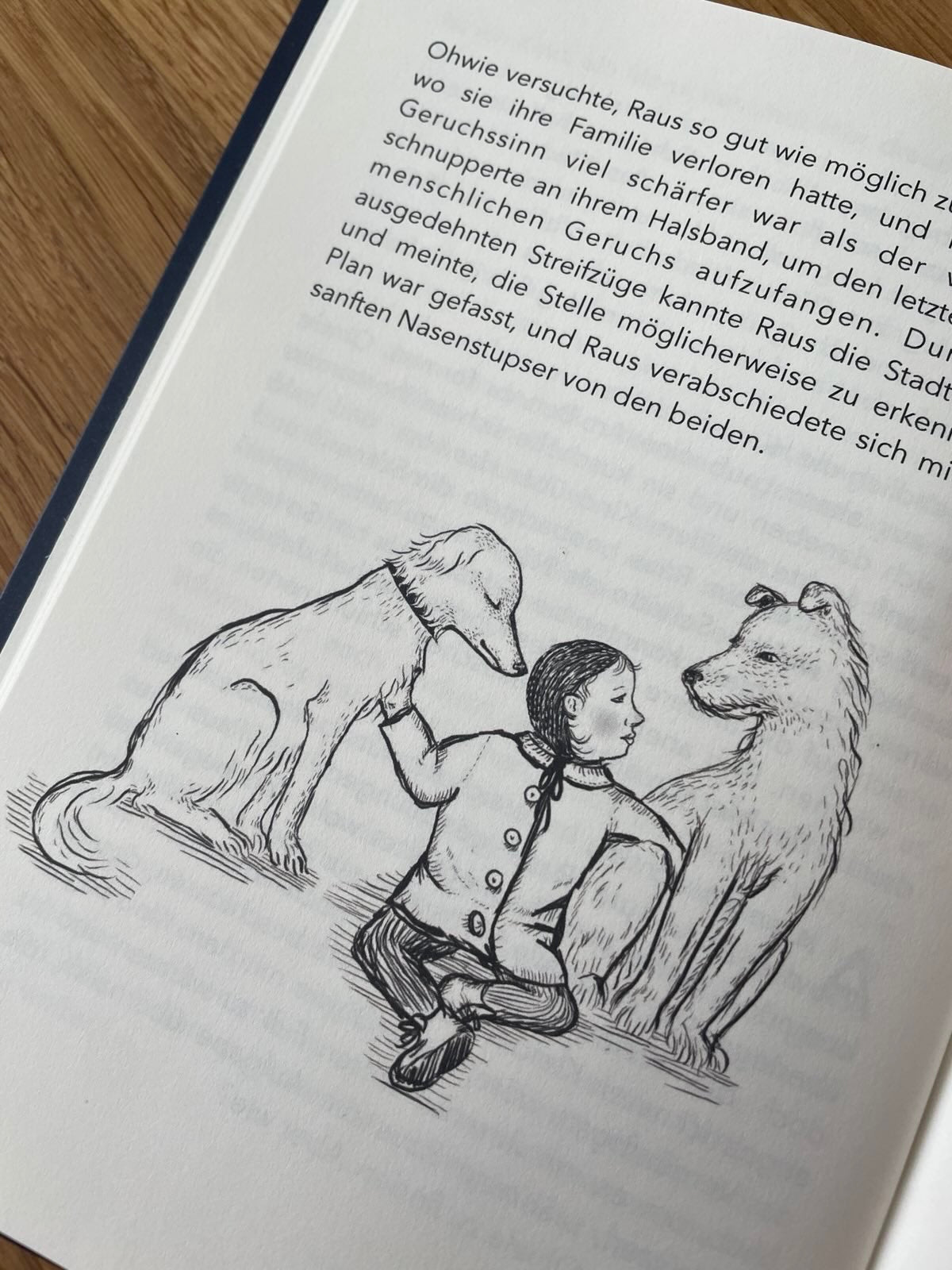 Zwei Hunde ein (weihnachts-)Abenteuer