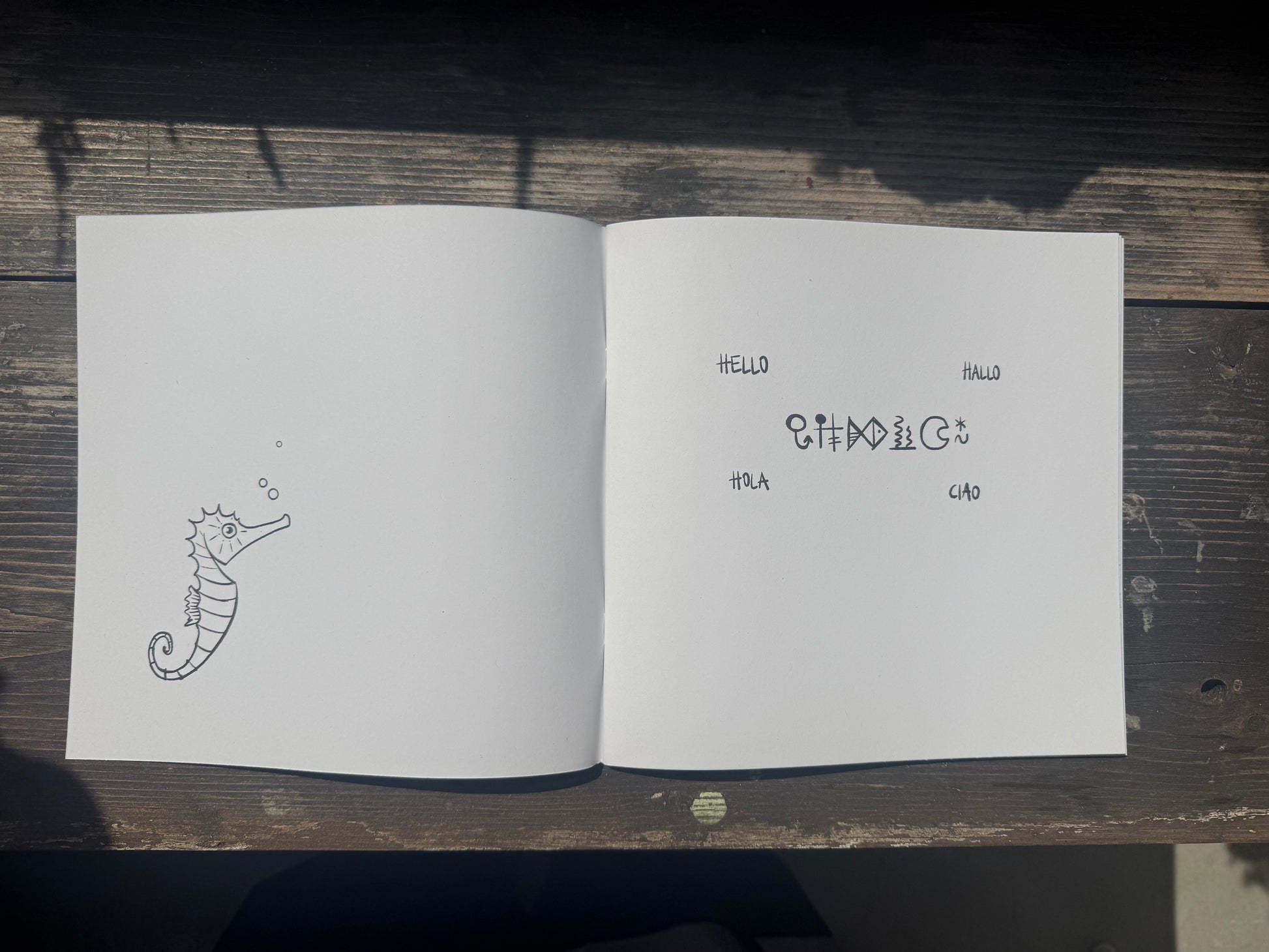 Kio, Eco Colouring Adventure