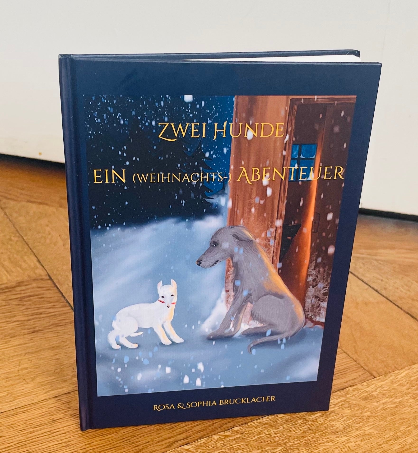 Zwei Hunde ein (weihnachts-)Abenteuer